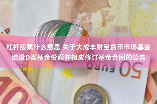 杠杆股票什么意思 关于大成丰财宝货币市场基金增设D类基金份额并相应修订基金合同的公告