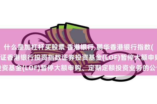 什么是加杠杆买股票 香港银行,鹏华香港银行指数(LOF)C: 鹏华港股通中证香港银行投资指数证券投资基金(LOF)暂停大额申购、定期定额投资业务的公告