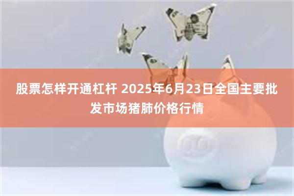 股票怎样开通杠杆 2025年6月23日全国主要批发市场猪肺价格行情