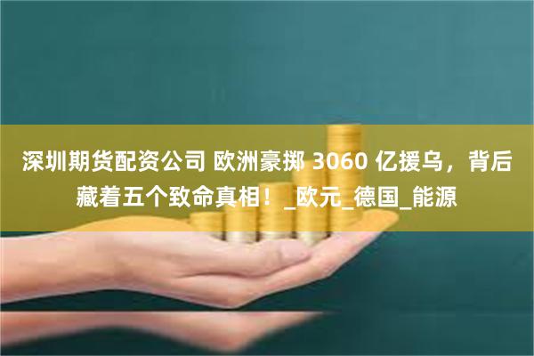 深圳期货配资公司 欧洲豪掷 3060 亿援乌，背后藏着五个致命真相！_欧元_德国_能源