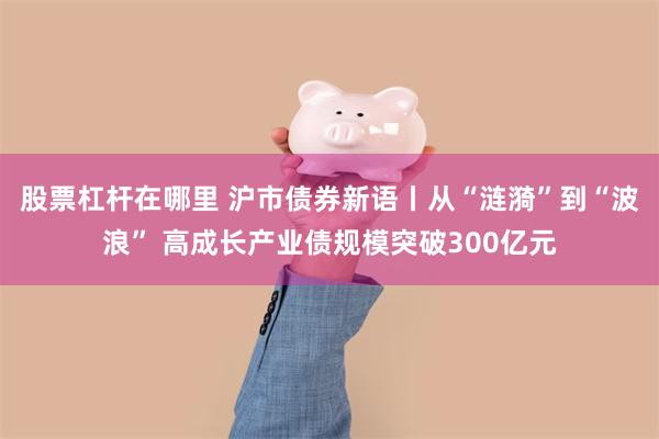 股票杠杆在哪里 沪市债券新语丨从“涟漪”到“波浪” 高成长产业债规模突破300亿元