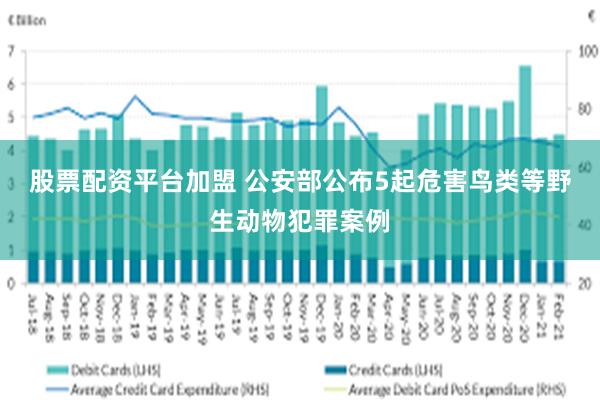 股票配资平台加盟 公安部公布5起危害鸟类等野生动物犯罪案例