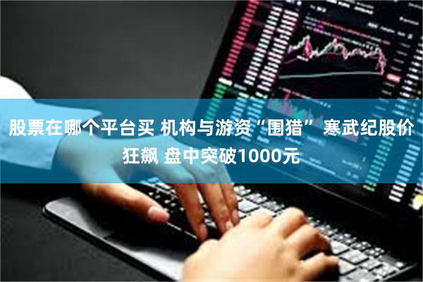 股票在哪个平台买 机构与游资“围猎” 寒武纪股价狂飙 盘中突破1000元