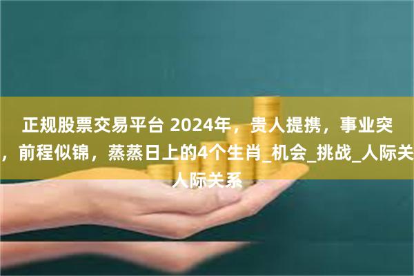 正规股票交易平台 2024年，贵人提携，事业突破，前程似锦，蒸蒸日上的4个生肖_机会_挑战_人际关系
