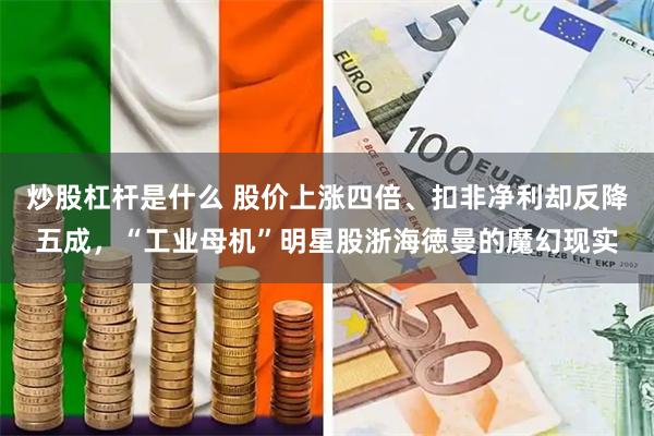 炒股杠杆是什么 股价上涨四倍、扣非净利却反降五成，“工业母机”明星股浙海徳曼的魔幻现实